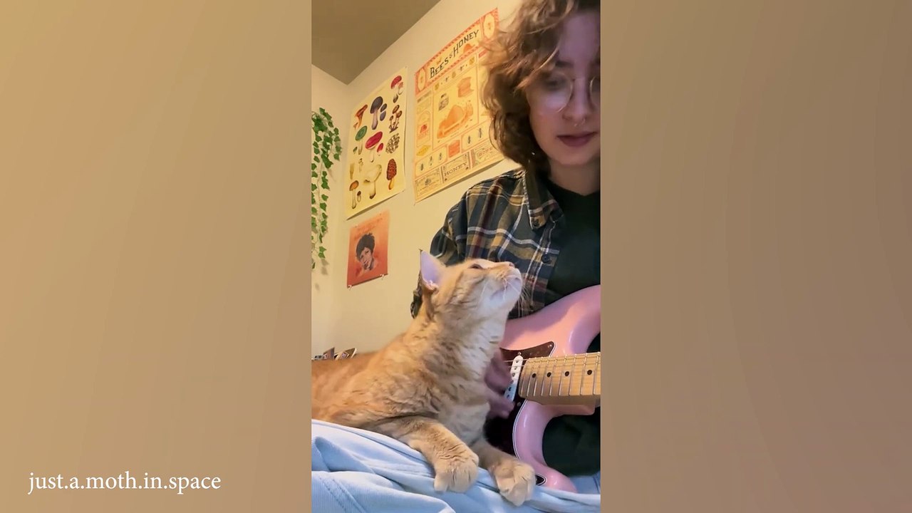 Nothing makes me happier than being a cat owner - Cute cat and human