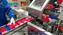 干果套袋封口机dried fruit premade bag packing machine