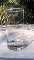 Aone Glass and Crockery Store Glassware, Tableware