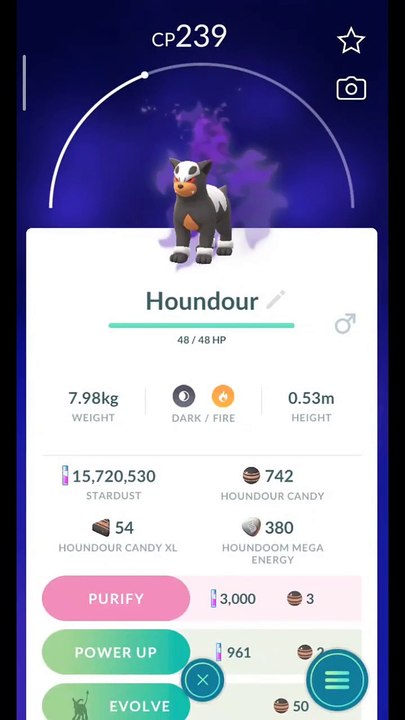 Pokémon GO-Purifying Shadow Houndour