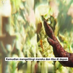 Ini benar-benar fenomena yang tidak bisa dijelaskan oleh sains