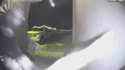 El perro desaparece más de una semana y una cámara oculta muestra su regreso como un milagro de la Navidad