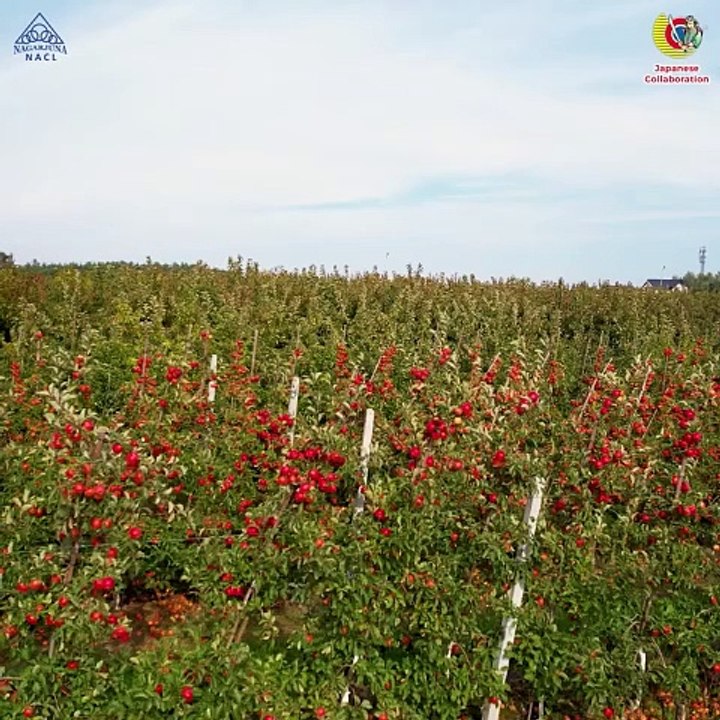 Premium Farm Protection Products in India | Agrochemical products