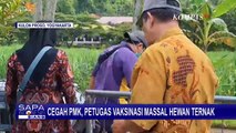 Cegah PMK di Kulon Progo, Petugas Vaksinasi Massal Hewan Ternak