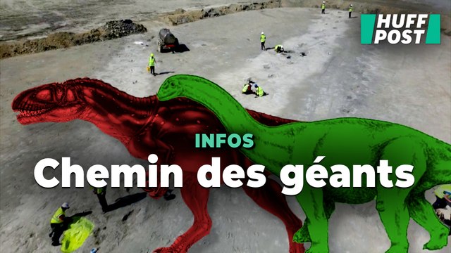 Les images d’une impressionnante « autoroute des dinosaures » découverte en Angleterre