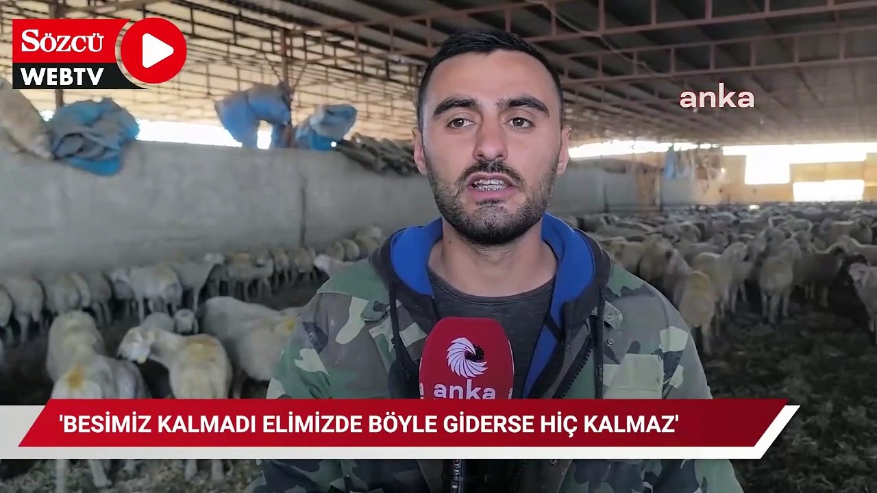 Küçükbaş hayvan besicisi isyan etti! 'Besimiz kalmadı elimizde böyle giderse hiç kalmaz'