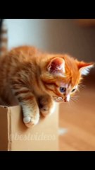 AI generated cats