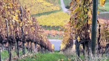 Stoccarda, la citt? dell'automotive punta sul turismo sostenibile