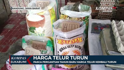 Pasca Pergantian Tahun Baru Harga Telur Ayam Kembali Turun