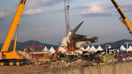 المحققون الكوريون الجنوبيون يباشرون إزالة حطام الطائرة المنكوبة