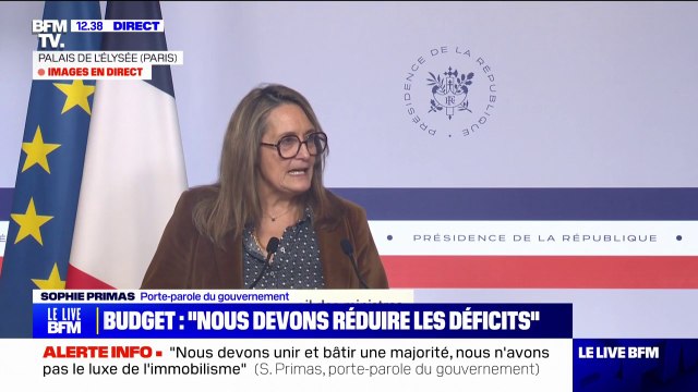 Je suis très en accord sur le fait qu'il faut rétablir le cumul des mandats , confirme Sophie Primas, porte-parole du gouvernement