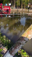 প্রথম বার ফ্রেঞ্চ বিন চাষ