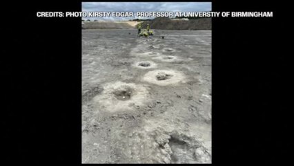 Impronte di dinosauri scoperte nel Regno Unito: "Tracce di 150 metri"