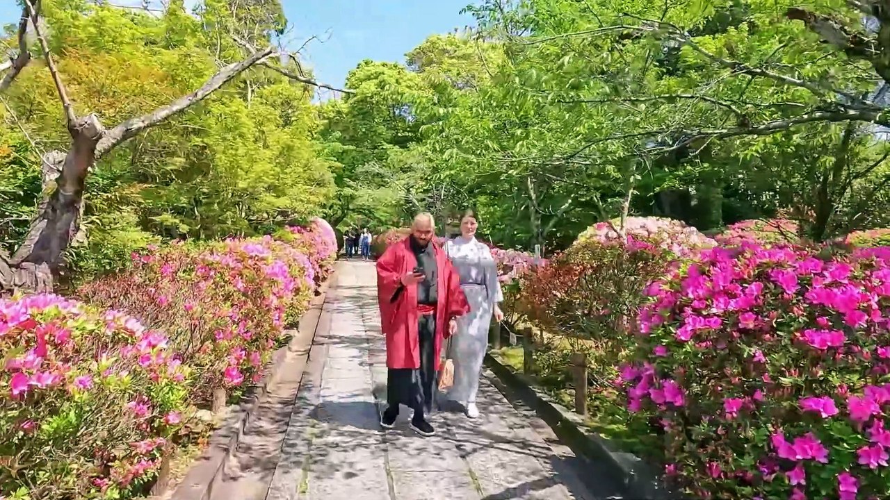 Walking Tour of Japan 🇯🇵 | Explore Traditional Streets & Modern Wonders in 4K UHD