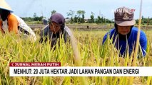 Menhut, Raja Juli Antoni Ungkap Rencana 20 Juta Hektar Jadi Lahan Pangan dan Energi