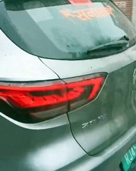 VIDEO: ¡Grúa bovina! Dos bueyes remolcaron de un auto eléctrico averiado