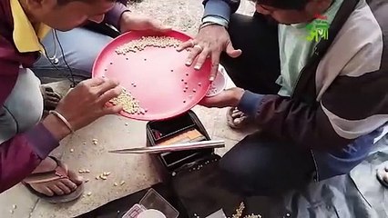 खरेदी केलेले सोयाबीन ग्रेडरकडून रिजेक्ट काय आहे नेमकं प्रकरण