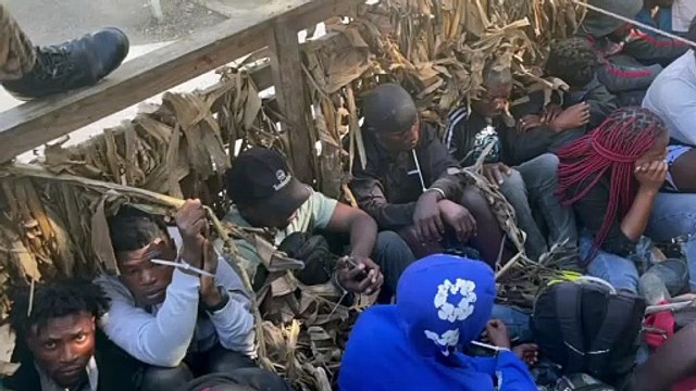 Detienen a 24 nacionales haitianos sin documentos que eran trasladados en un camión