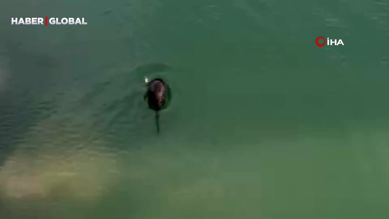 Tunceli'de bir anda görüntülenince herkes telefona sarıldı!