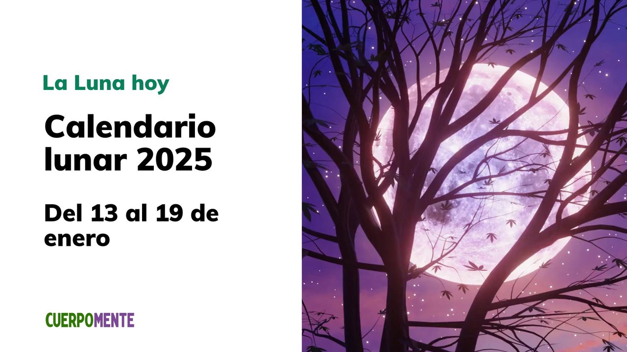Luna del 13 al 19 de enero 2025
