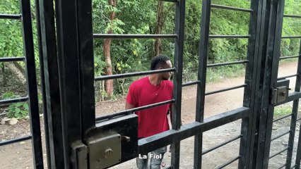 La herencia de Sarah   Parte final