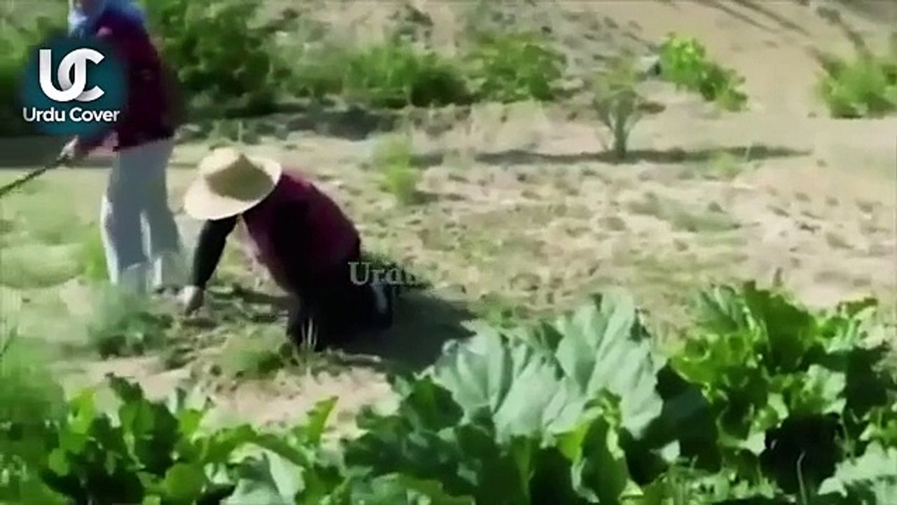 China technology revolution