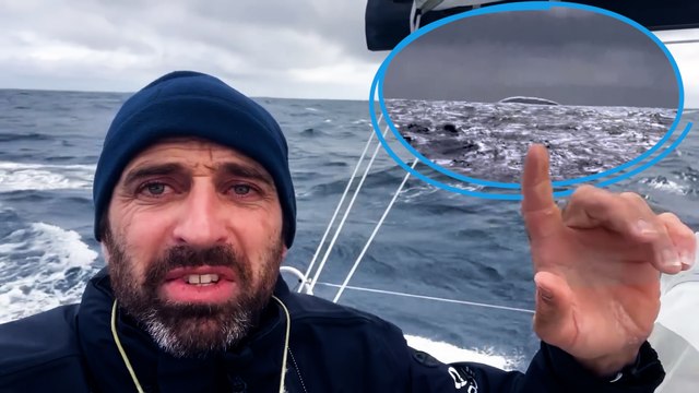 « Les émotions, put*** » : des skippers du Vendée Globe croisent un iceberg, une première depuis 2008