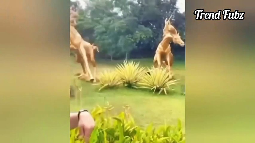 Funny fails