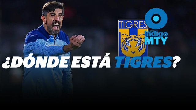 A días de iniciar el torneo, ¿Dónde están los Tigres de Paunović? | Reporte Indigo