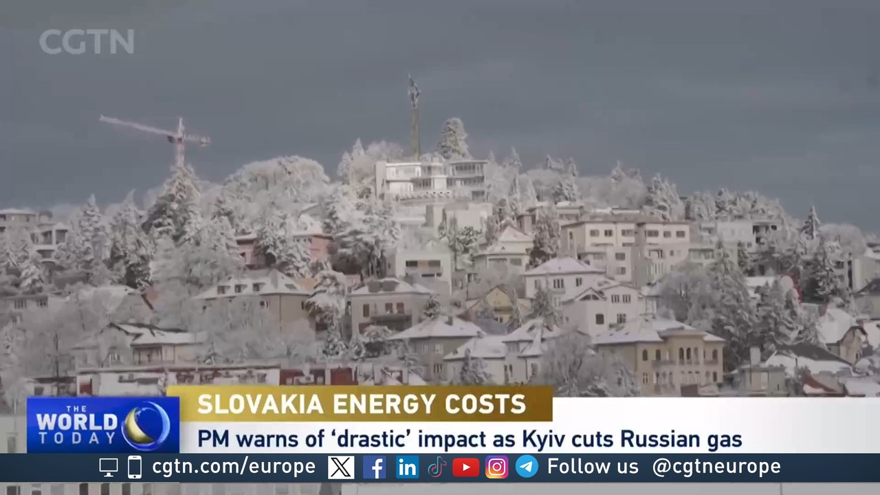 Businesses in Central Europe struggle after gas pipeline shutdown