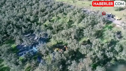 Polis Ekipleri Zeytinlik Hırsızlarına Göz Açtırmıyor