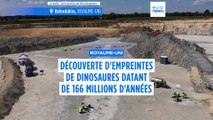 Des empreintes de dinosaures vieilles de 166 millions d'années découvertes au Royaume-Uni