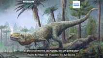 Pegadas de dinossauro com 166 milhões de anos descobertas numa espantosa pedreira em Oxfordshire