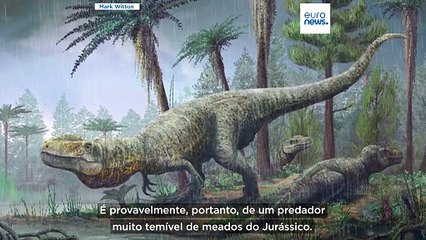 Pegadas de dinossauro com 166 milhões de anos descobertas numa espantosa pedreira em Oxfordshire