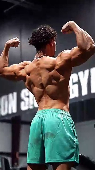 back workout tips