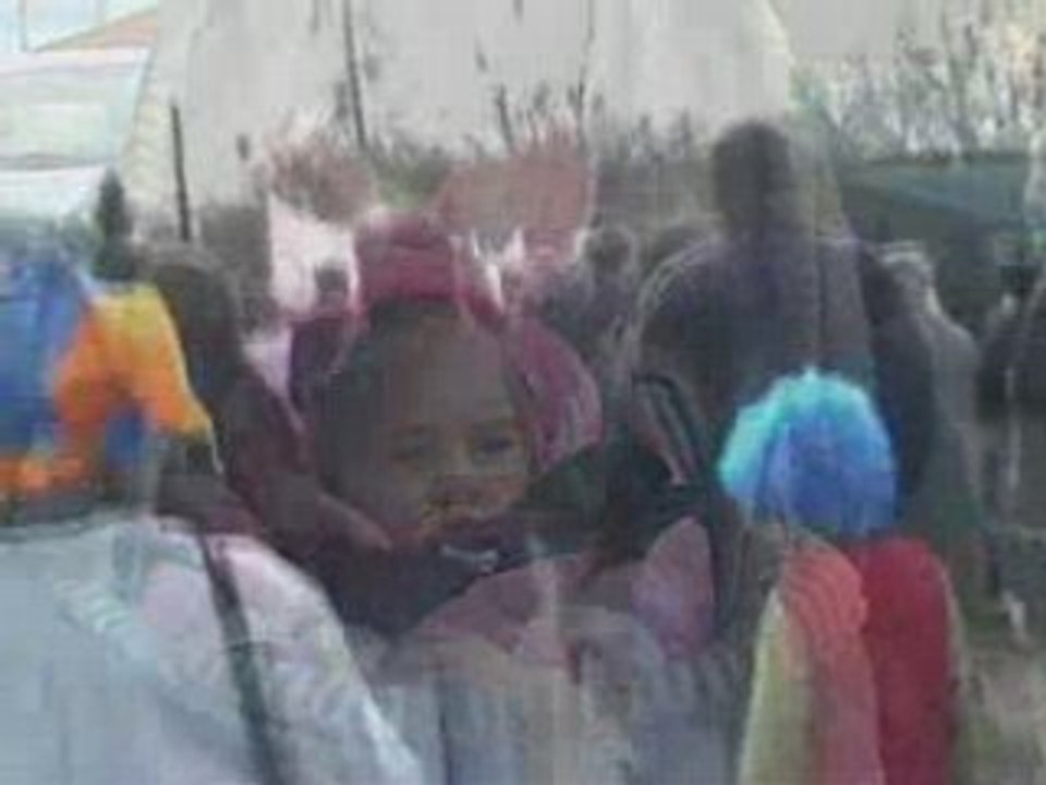 Carnaval 2008