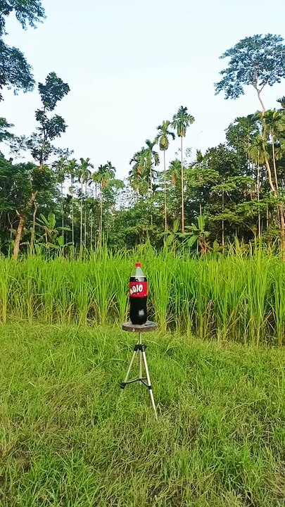 Bamboo creations with new dijayan slingshots