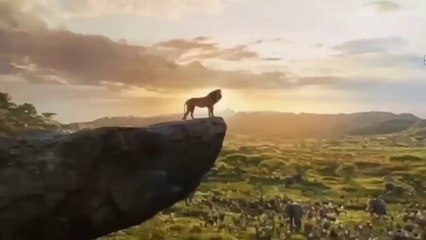 Mufasa and Taka Joins Forces To Kill The Ruthless White Lion King and His Pride(720P_HD)
