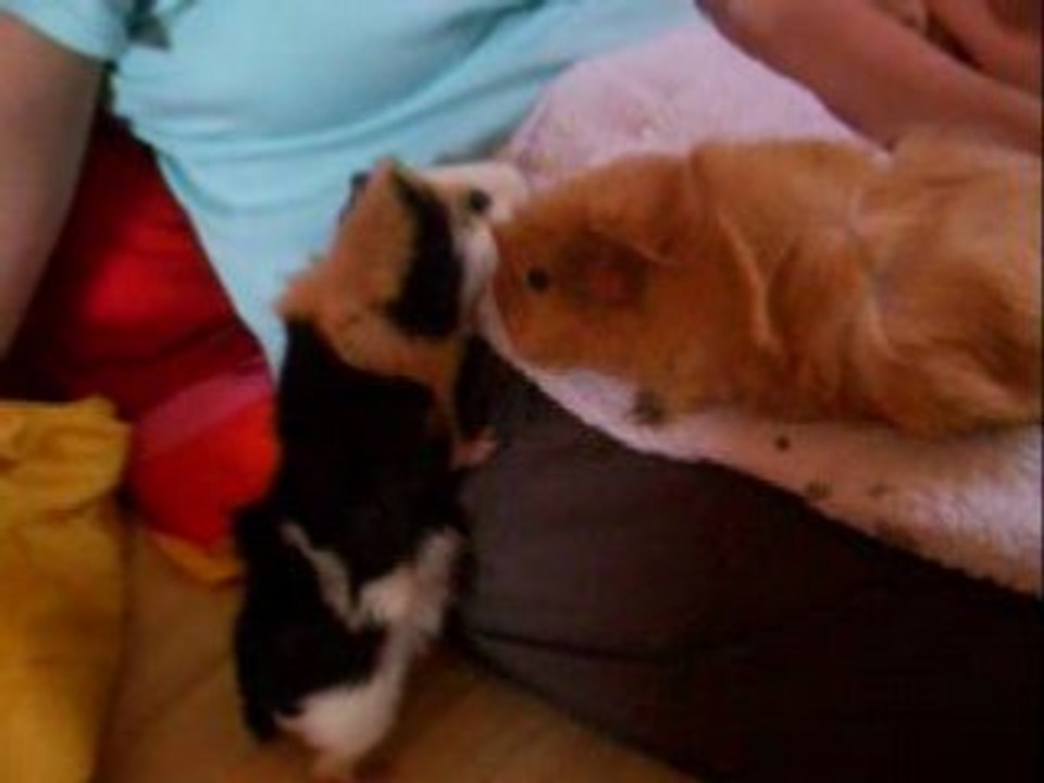 Rencontre Elliotte Taïkô
