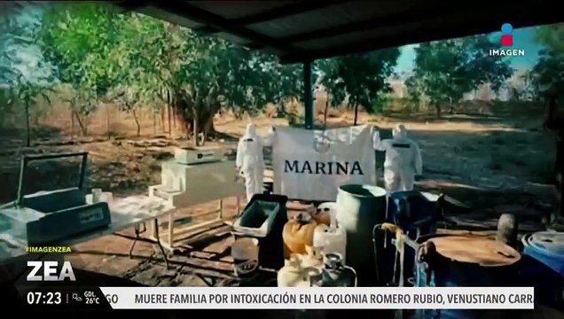Destruyen 173 laboratorios clandestinos para la producción de drogas sintéticas