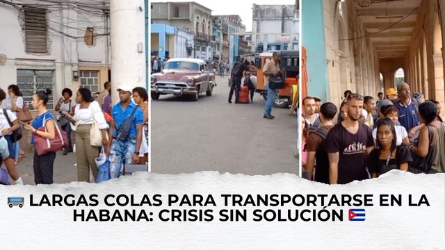 🚌 Largas colas para transportarse en La Habana: Crisis sin solución 🇨🇺