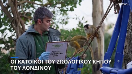 Μ. Βρετανία: Απογραφή στους κατοίκους του κάνει ο Ζωολογικός Κήπος του Λονδίνου