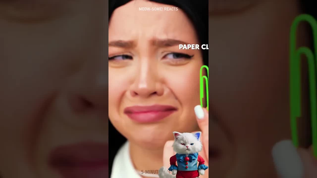 The Weirdest Earring Crafts You've Ever Seen! 😹