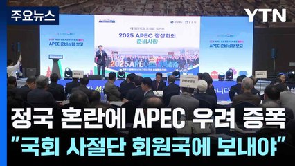 정국 혼란에 APEC 우려 증폭..."국회 사절단 회원국에 보내야" / YTN
