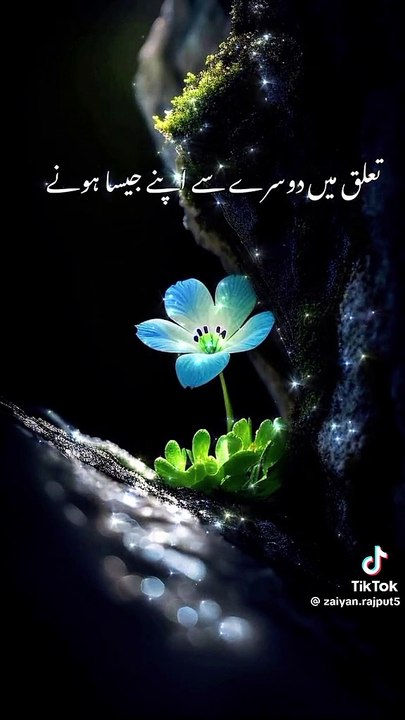 VID-20250104-WA0017