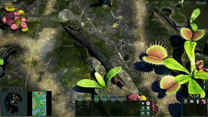 Kaltblütig (1. Versuch, Teil 1) | Empires of the Undergrowth | Ep. 22