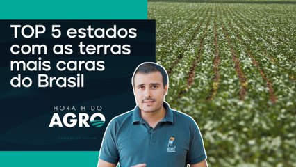 Terras agrícolas: Quanto vale na sua região? | HORA H DO AGRO