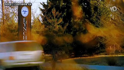 ASSASSINATOS COVARDES - ID