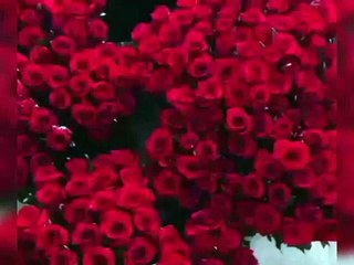 اللہ تعالٰی کا ارشاد مبارک قرآن مجید میں