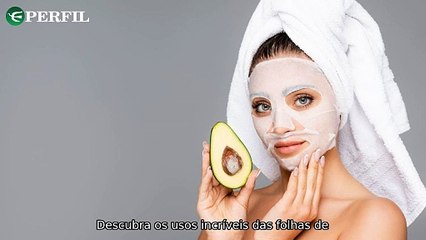 "Descubra os usos do folha de abacate, feriados de 2025 e oportunidades de emprego na Embrapa!"